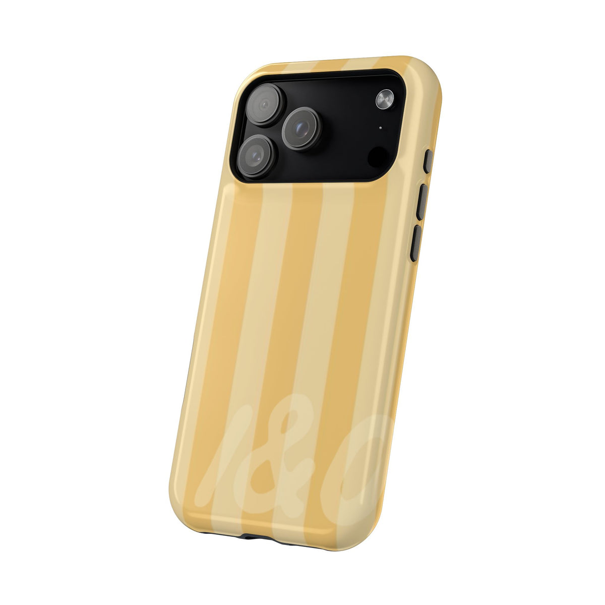 Harvest Stripe MagSafe Case